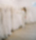 Magnolia Laine Detroit bridal boutique interior