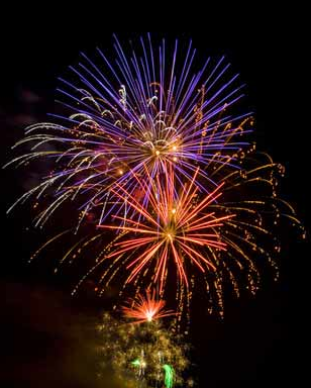 Vorbereitung für Silvester mit Hund