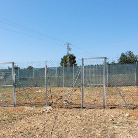 Ein Herz für Tiere: Fortschritte beim Aufbau der LiSa-Pflegestelle auf Sandras Lebenshof