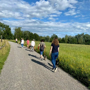 Von Junghundekurse, Erziehungskurse, Longieren, Plauschtraining bis zum Socialwalk