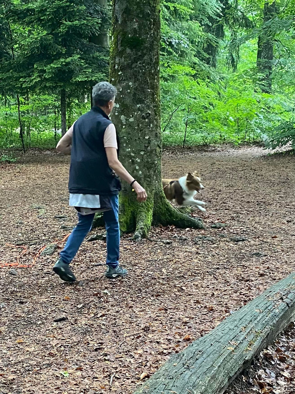 Plauschlauf Social Walk