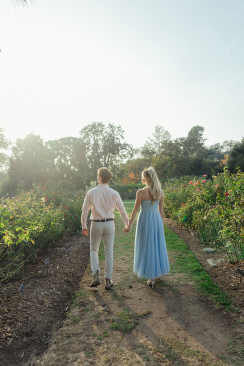 couple walking through rose garden huntington library pasadena engagement photos sunset