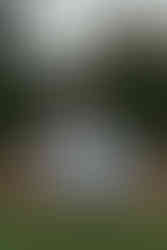 romantic bench portrait huntington library hedge garden pasadena engagement photography