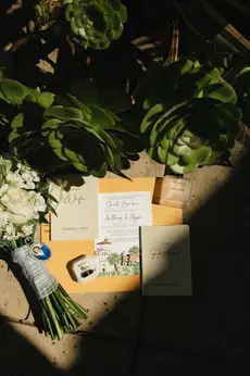 santa barbara courthouse wedding details with shadows and plants representing the coastal beach vibes of the town