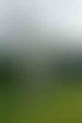couple posing in front of courthouse architecture in santa barbara