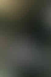 Bride and groom posing on wooden bridge surrounded by bamboo in Los Angeles Japanese garden