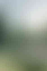 Sunlit ceremony lawn with vineyard backdrop in Southern California wine country