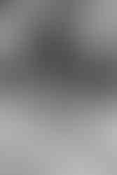 bride and groom crossing palm lined street after beverly hills courthouse wedding ceremony