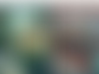 an image describing what is in the article
