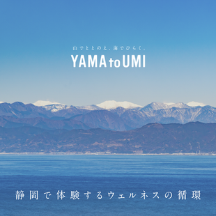 YAMA to UMI Wellness Jorney