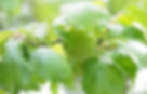 shutterstock_1625817073_edited.jpg