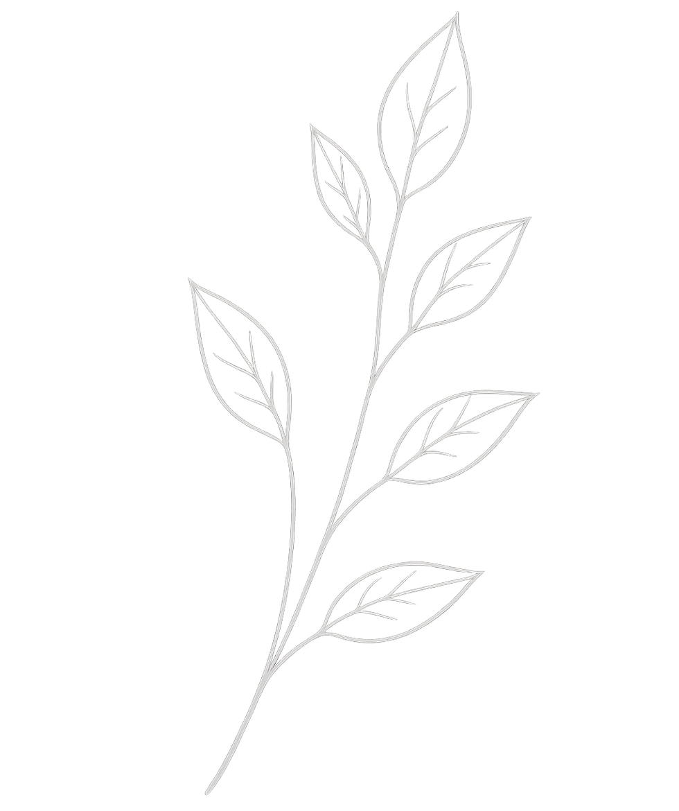 ChatGPT Image Jul 21, 2026, 02_40_42 PM.png