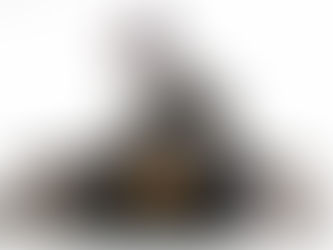 Marine Corps War Memorial Challenge Coin