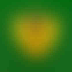 Department of Energy Challenge Coin (DOE)