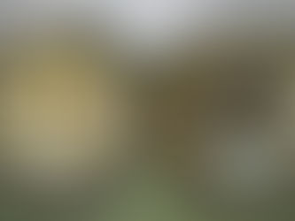 Dietrich Bonhoeffer Challenge Coin