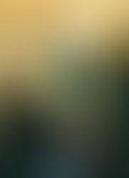 UPD Watch Online Movie Zanjeer Hindi 2013