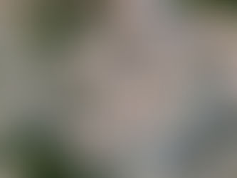 花の品種開発は“人の声”で変わる？営業・接客経験が活きる瞬間とは