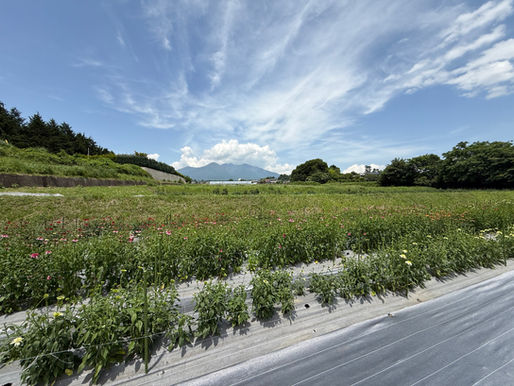 自然豊かな北杜市で働くって実際どう？都会と比べて変わる5つのこと