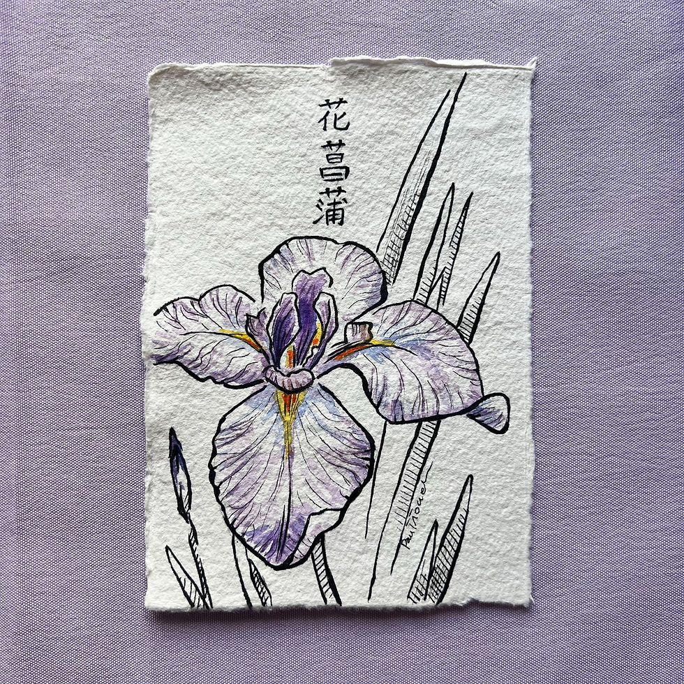 'iris 花菖蒲' original hand-painted illustration, gouache painting, tloczuss
