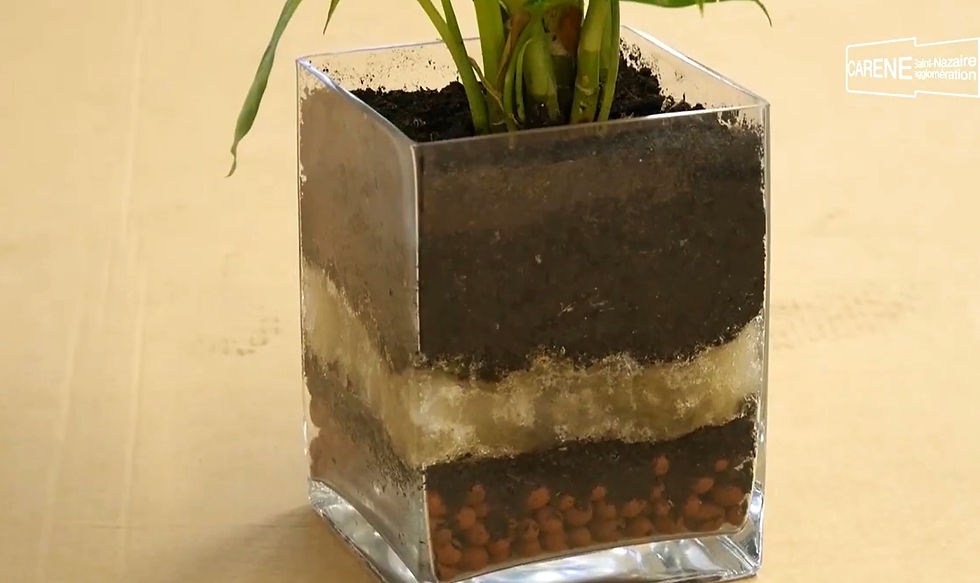 Solution anti-sécheresse pour les végétaux, plante verte, jardinage, géotextile, limiter l'arrosage