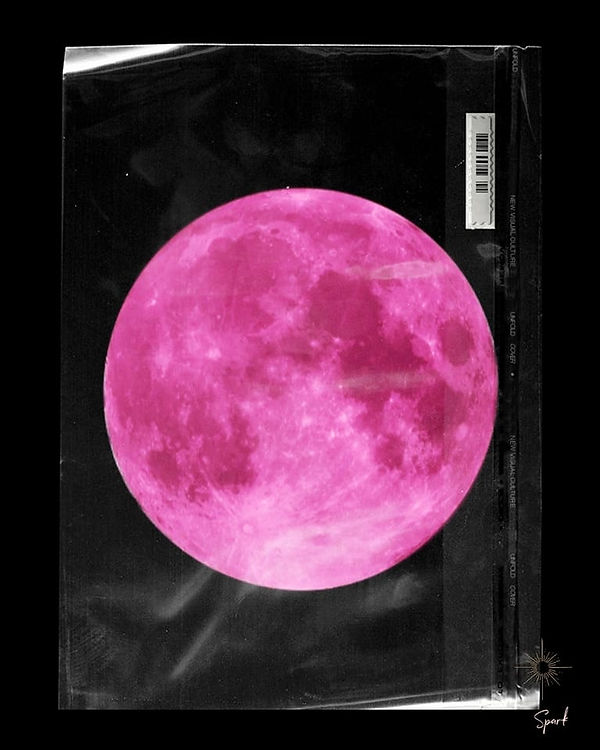 3. The Card of the Pink Moon.jpg