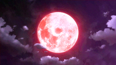 tumblr_mu59jf6Zt31swwqebo1_400.gif