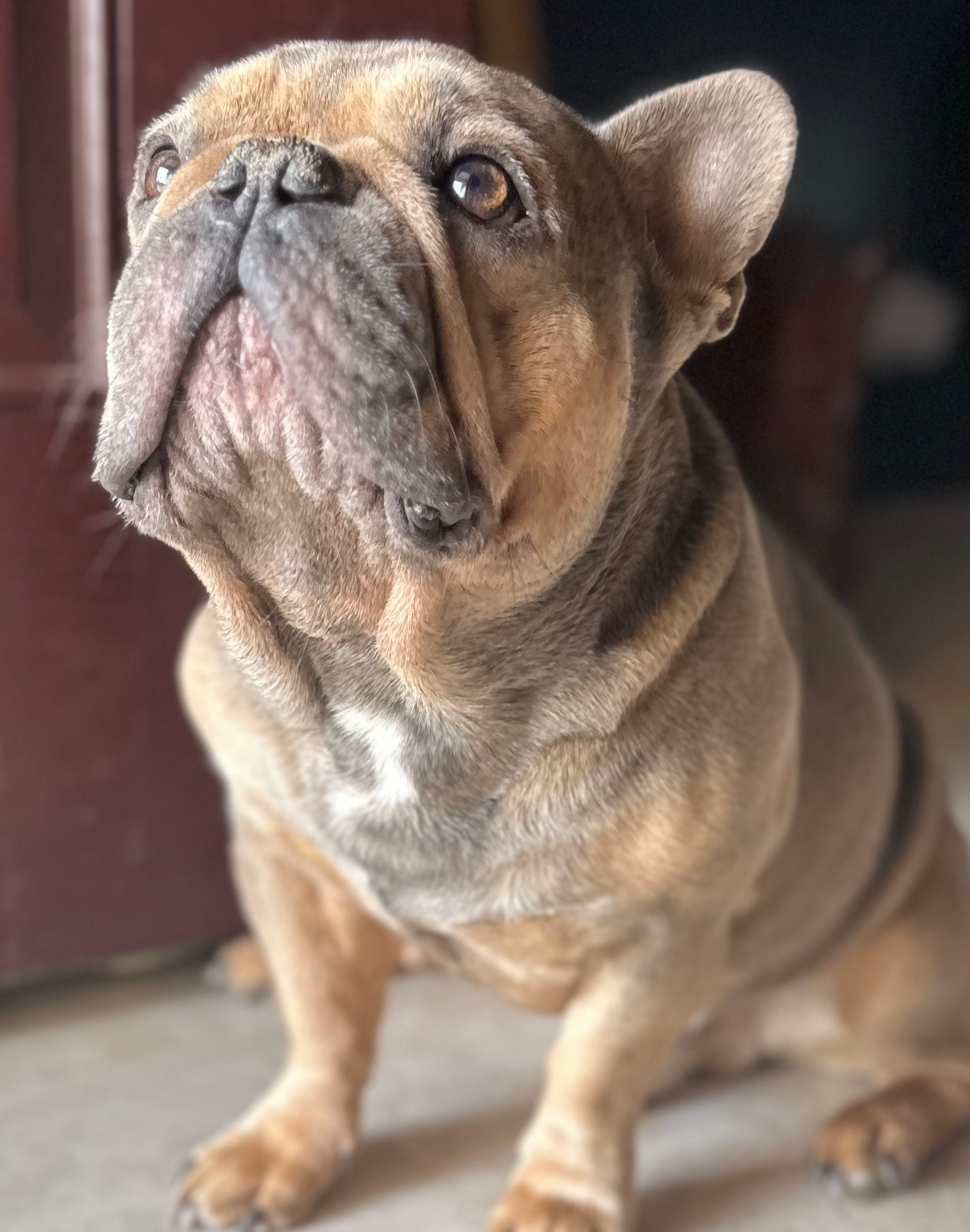 Writer: Meghan Whitaker