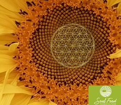 Flower of life