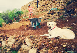 max at work