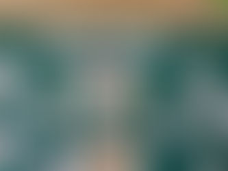 МІЙ ШЛЯХ У СВІТ ПРОЛІГ З ВІЛЬШАНИ