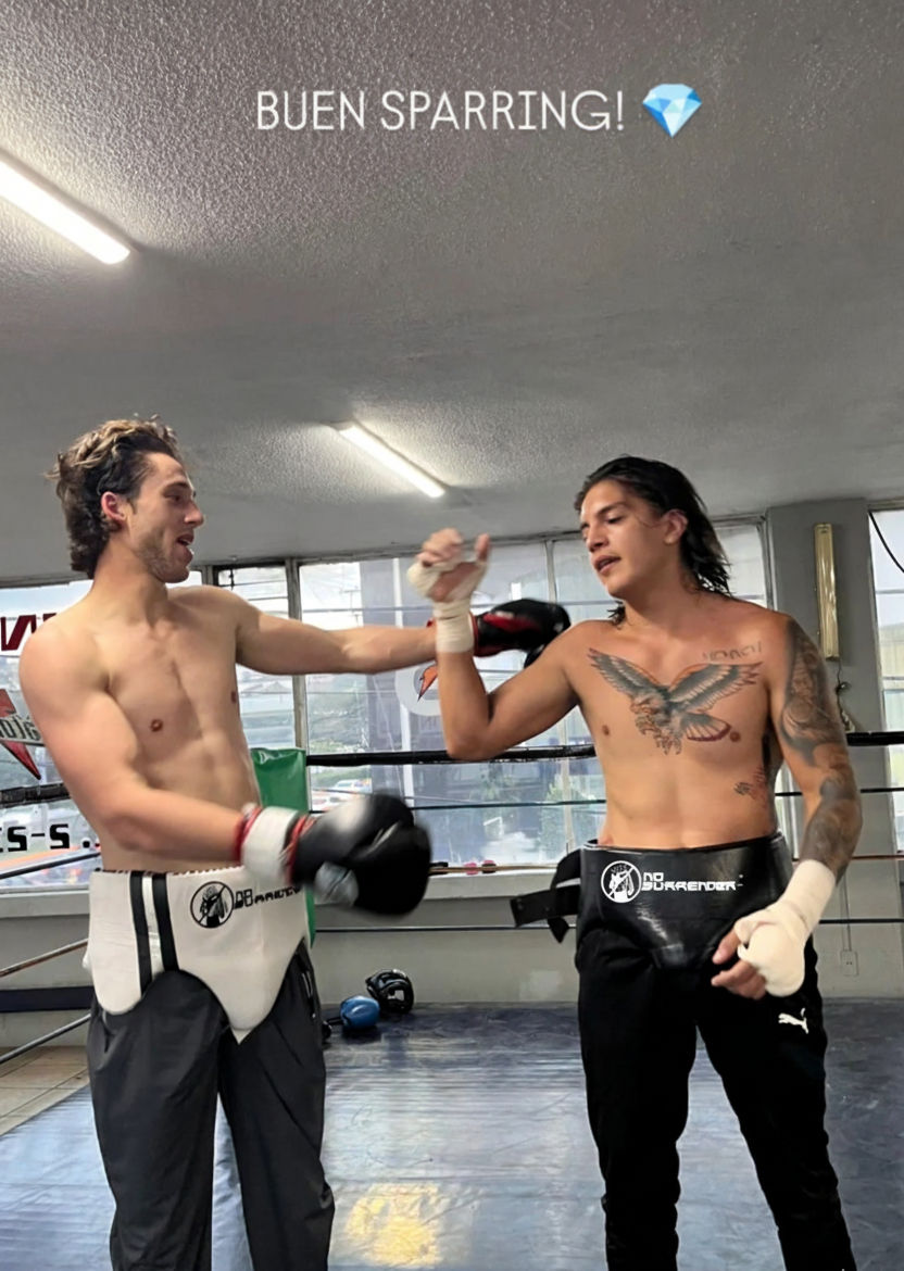 Gracias por Usar Equipo Premium NoSurrender.club