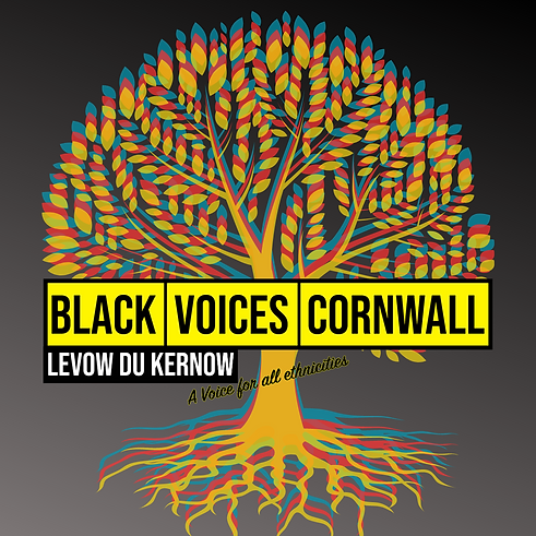 BVC logo.png