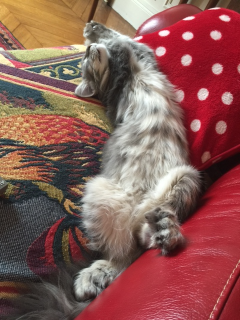 Lili