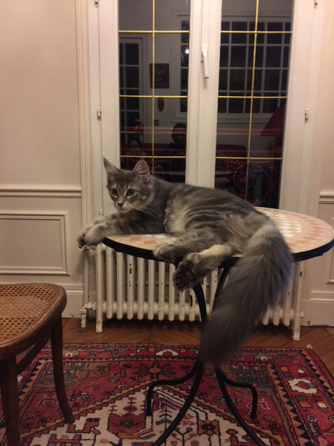 Lili