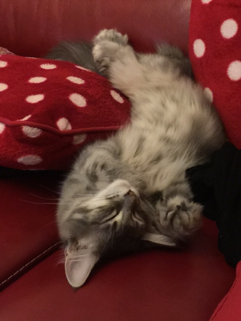 Lili
