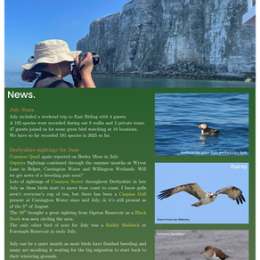 Newsletter - August 2025