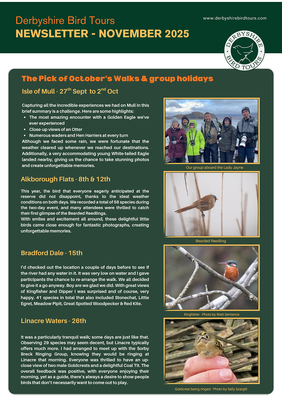 Newsletter - November 2025