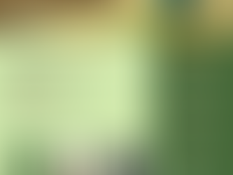 Middleton Lagoon - 23rd Nov 2025