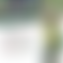 Cromford Canal & Lea Wood