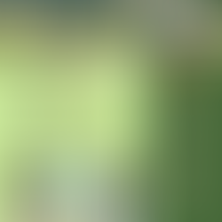 Middleton Lakes - 3rd August 2025