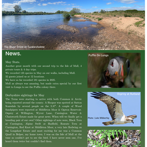 Newsletter June 2025