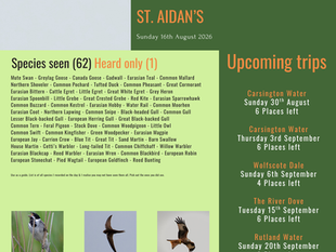 St. Aidan's - August 16th 2026