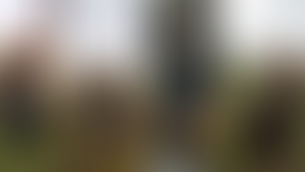 Reflecting St. Patrick Beyond Clovers