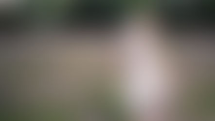 Who Made My Clothes?