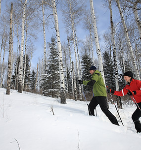 Winter 3 Copyright Parks Canada.JPG