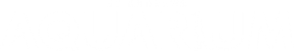 sta-logo-white text.png