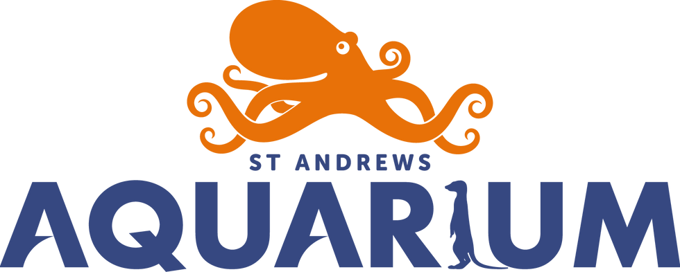sta-logo-blue.png