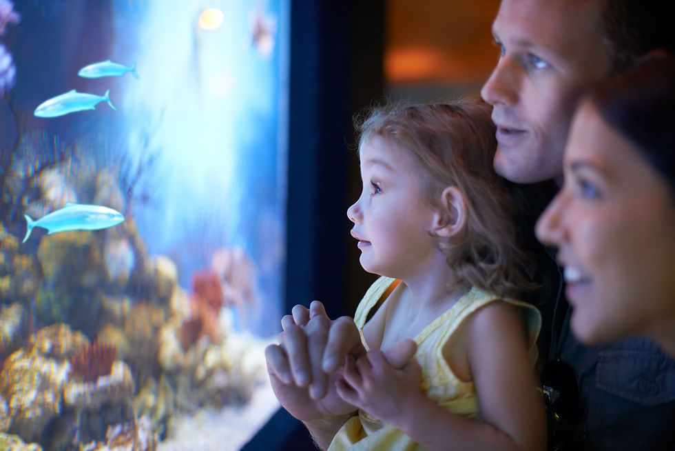 Family Aquarium.jpg