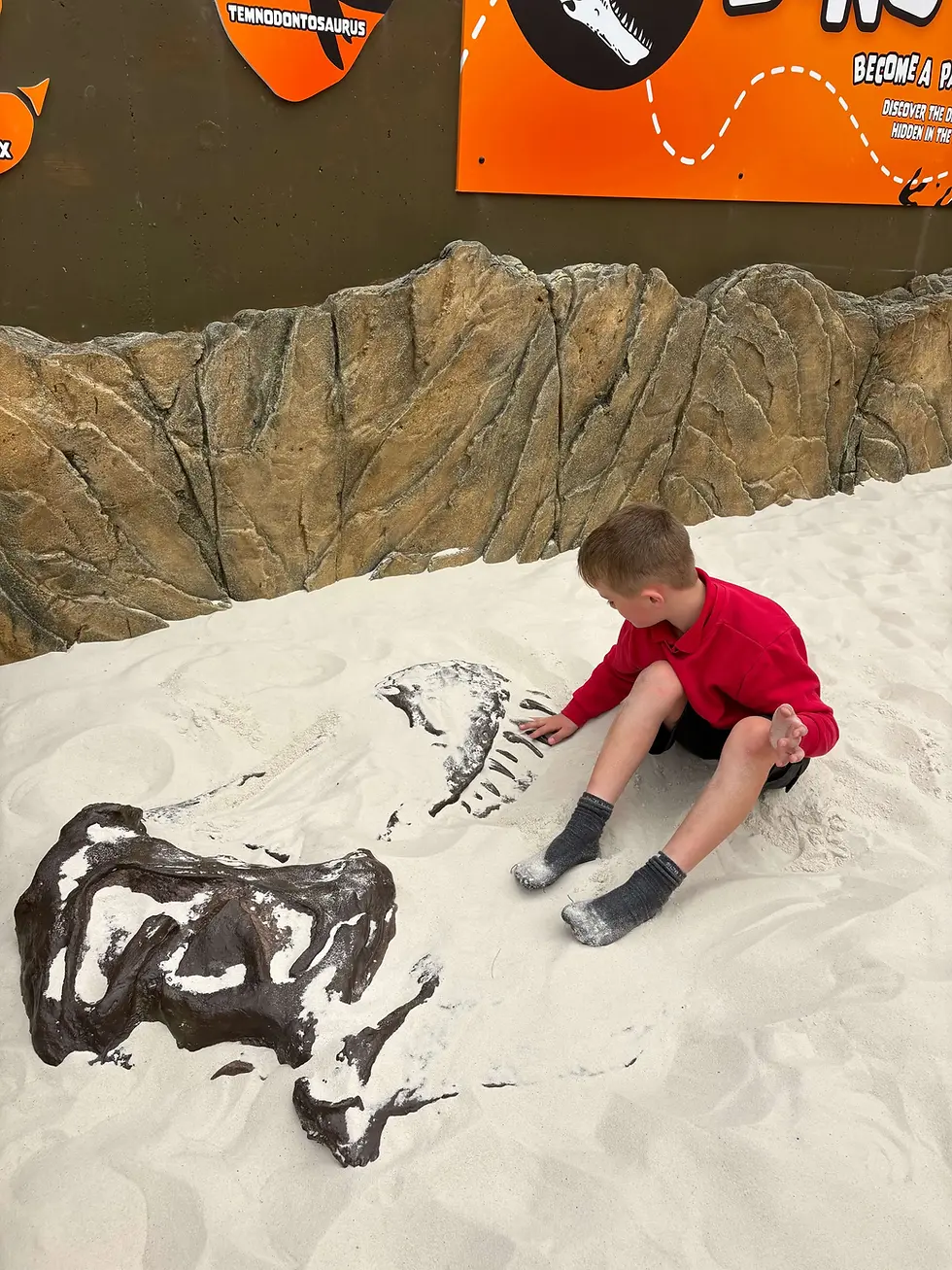 dinodig at st andrews aquarium 4