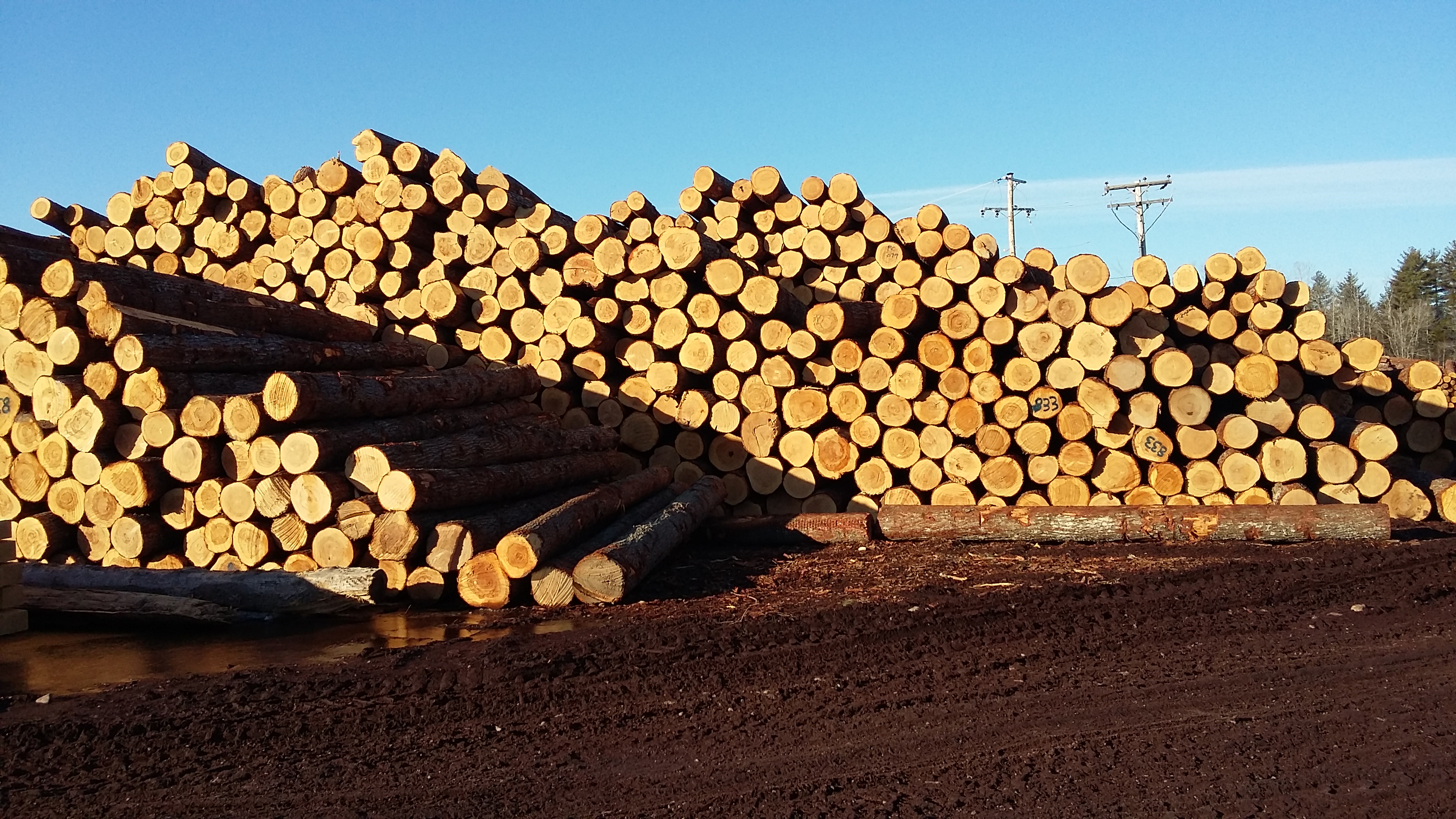 Sawmill Parker Lumber Company United States Sawmill Parker Lumber Company United States